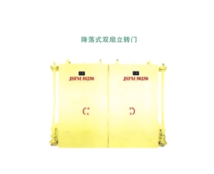 山东降落式双扇立转门